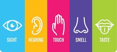 5 Senses Chart