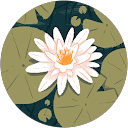 Dailenys N. profile picture